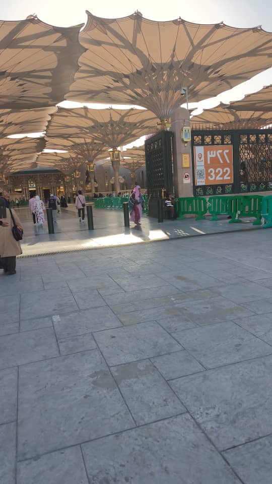 19 FEB - 2 MAC 2025